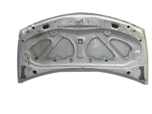 Hood RENAULT CLIO III (BR0/1, CR0/1) 1.2 16V (BR02, BR0J, BR11, CR02, CR0J, CR11) | BP24888793C1 