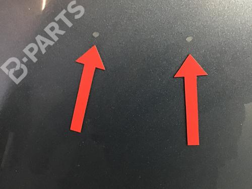 Hood HYUNDAI SANTA FÉ II (CM) 2.2 CRDi | BP8329018C1