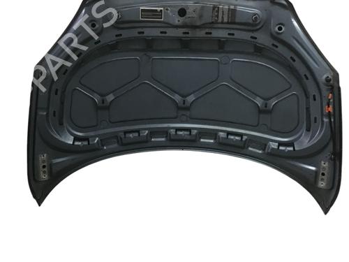 Hood SKODA FABIA II (542) 1.2 | BP28813262C1 
