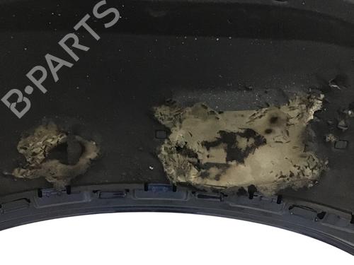 Hood SKODA FABIA II (542) 1.4 | BP21164128C1