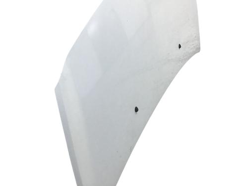 Hood RENAULT CLIO III (BR0/1, CR0/1) 1.2 16V (BR02, BR0J, BR11, CR02, CR0J, CR11) | BP24888793C1 