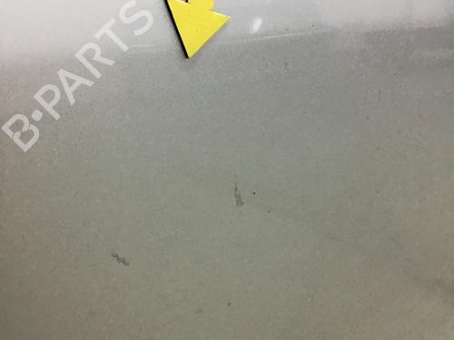 Right front door SKODA FABIA I (6Y2) 1.2 | BP21360062C3 