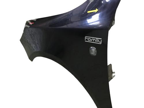 Left front fenders SKODA FABIA II Combi (545) 1.2 TSI | BP19313258C41 