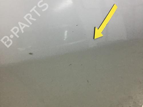 Right front door SKODA FABIA I (6Y2) 1.2 | BP21360062C3 
