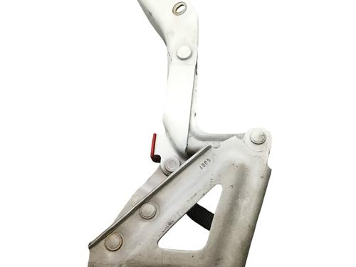 Hinge/Door check strap CITROËN C5 III Break (RW_) 2.0 i 16V (RWRFJC, RWRFJF) | BP29504161C146 