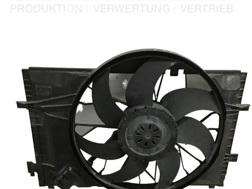 Elektronisk modul MERCEDES-BENZ C-CLASS (W203) C 270 CDI (203.016) (170 hp) 15837581