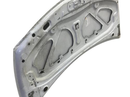 Hood RENAULT CLIO III (BR0/1, CR0/1) 1.2 16V (BR02, BR0J, BR11, CR02, CR0J, CR11) | BP24888793C1 