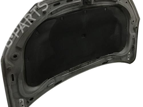 Hood VW CADDY III MPV (2KB, 2KJ, 2CB, 2CJ) 1.6 TDI | BP29274413C1 