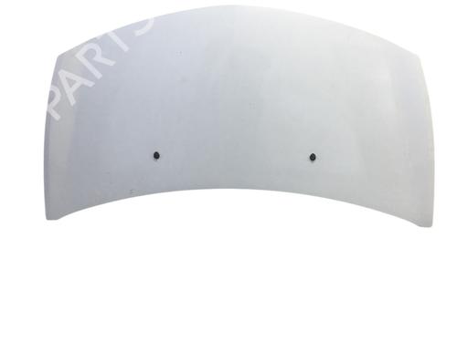 Used Hood RENAULT CLIO III (BR0/1, CR0/1) 1.2 16V (BR02, BR0J, BR11, CR02, CR0J, CR11) (75 hp) 24888793