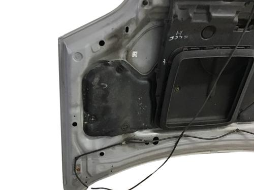 Hood NISSAN X-TRAIL I (T30) 2.2 dCi 4x4 | BP14910645C1 