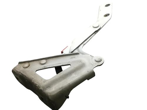 Hinge/Door check strap CITROËN C5 III Break (RW_) 2.0 i 16V (RWRFJC, RWRFJF) | BP29504161C146 