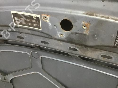 Hood SKODA FABIA II (542) 1.2 | BP28813262C1 