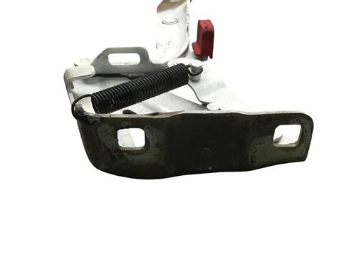 Hinge/Door check strap CITROËN C5 III Break (RW_) 2.0 i 16V (RWRFJC, RWRFJF) | BP29504161C146 