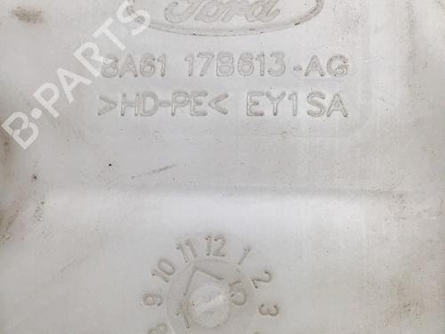 Windscreen washer tank FORD FIESTA VI (CB1, CCN) 1.0 EcoBoost | BP27385331C113