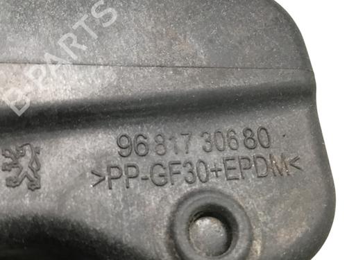 Fuel flap PEUGEOT 207 (WA_, WC_) 1.4 | BP28128151C131 
