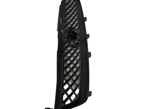 Grille FORD FIESTA V (JH_, JD_) 1.3 | BP19067659C40 