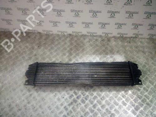 Intercooler NISSAN INTERSTAR Van (X70) | BP10197323M30
