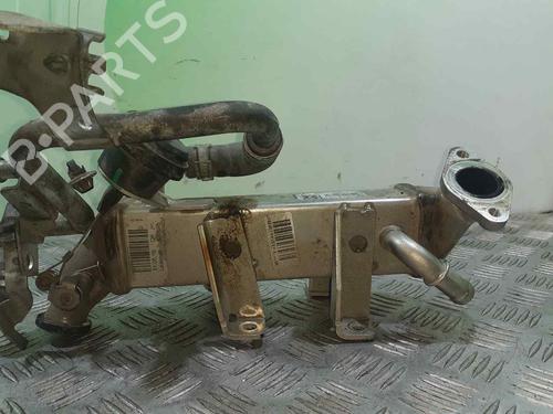 Egr NISSAN X-TRAIL II (T31) 2.0 dCi | BP14356618M69 