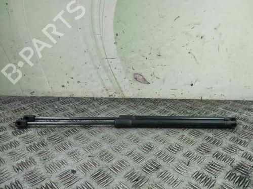 Used Tailgate lift support FORD FIESTA VI (CB1, CCN) 1.25 (82 hp) 17794135