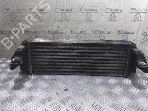 Used Intercooler FORD TRANSIT CONNECT (P65_, P70_, P80_) 1.8 Di (75 hp) 5141092