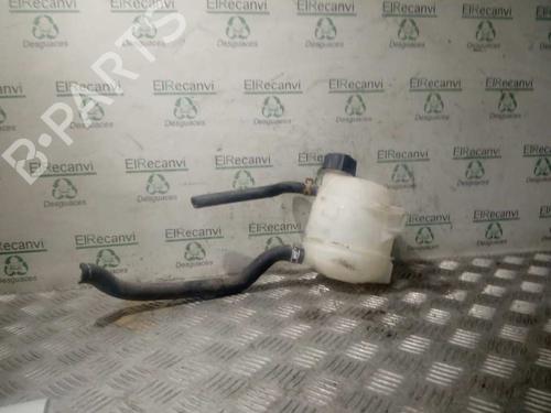 Ekspansjonstank DACIA SANDERO [2008-2026]  4544218