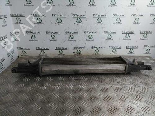 Used Intercooler FIAT GRANDE PUNTO (199_) 1.3 D Multijet (75 hp) 4528520