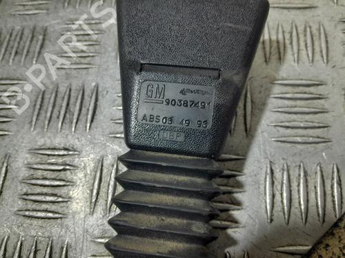 Used Front left belt tensioner Front left belt tensioner OPEL COMBO Box Body/MPV (71_) 1.7 D (60 hp) 34157524 34157524