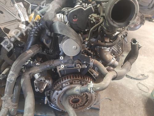 Engine RENAULT KANGOO / GRAND KANGOO II (KW0/1_)  | BP19446509M1 