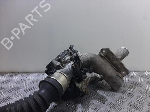 Used Throttle body RENAULT KANGOO / GRAND KANGOO II (KW0/1_) [2008-2026]  31841647