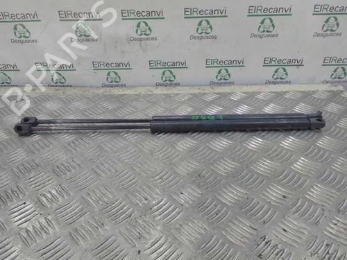 Used Tailgate lift support NISSAN ALMERA II Hatchback (N16) [2000-2025]  14357252