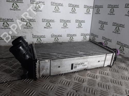 Intercooler PEUGEOT 208 I (CA_, CC_) [2012-2020]  16316116