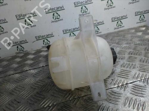 Ekpansionstank DACIA SANDERO 1.4 (BS0C, BS0A, BS0G, BS1F, BS0E) (75 hp) 4524716