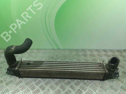 Intercooler CITROËN NEMO Box Body/MPV (AA_) [2008-2025]  7242084