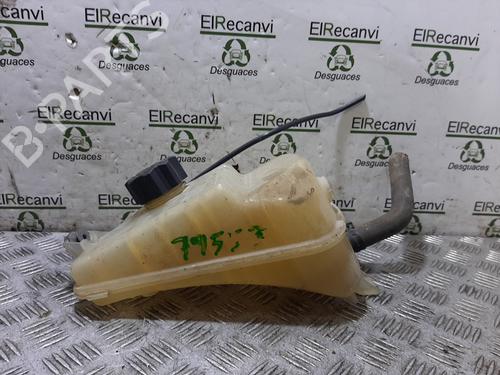 Vaso de expansão VW TOUAREG (7LA, 7L6, 7L7) [2002-2013]  19135634