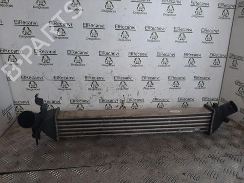 Used Intercooler RENAULT CLIO III (BR0/1, CR0/1) [2005-2014]  17429422