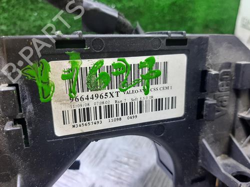 Switch CITROËN C4 Picasso I MPV (UD_) | BP25122234I30