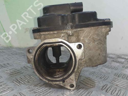Egr AUDI A4 B7 (8EC) 2.0 TDI 16V | BP8061341M69 