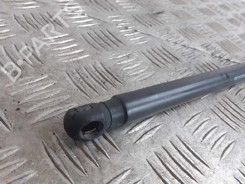 Tailgate lift support CITROËN C4 Coupe (LA_) | BP14356111C138