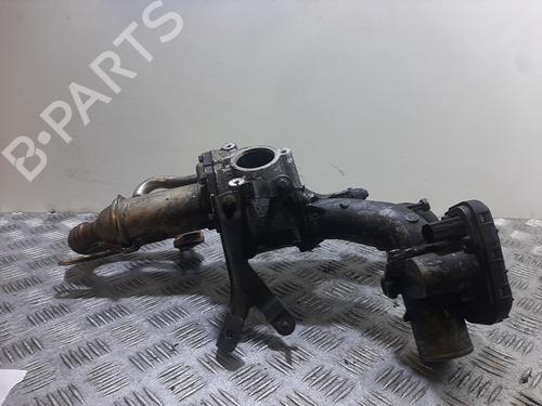 Used Egr RENAULT KANGOO Express (FW0/1_) [2008-2026]  31598875