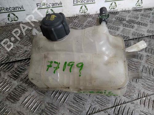 Used Expansion tank RENAULT SCÉNIC III (JZ0/1_) [2008-2016]  19032691