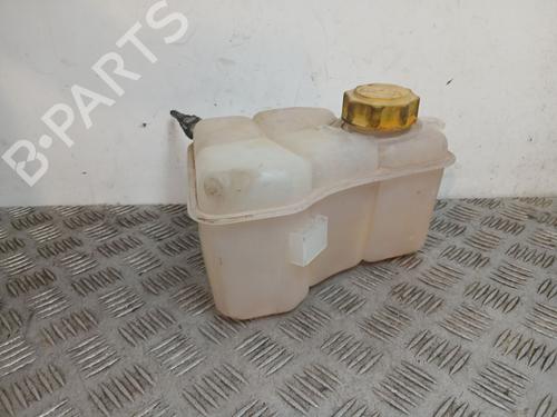 Ekpansionstank Ekpansionstank FORD FUSION (JU_) [2002-2012] 36912619 36912619