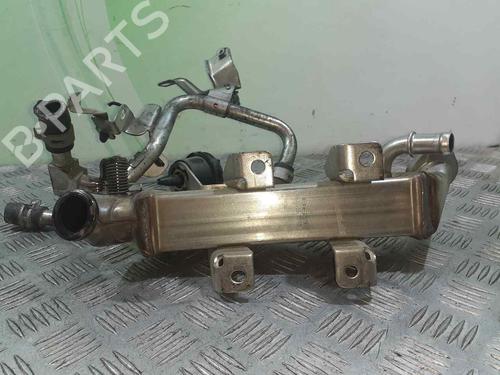 Egr NISSAN X-TRAIL II (T31) 2.0 dCi | BP14356618M69 