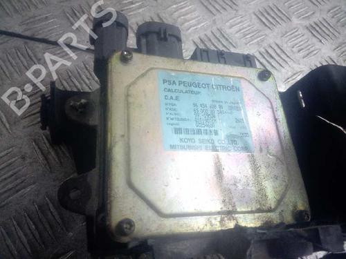 Elektronisk modul CITROËN C3 I (FC_, FN_) 1.4 HDi (68 hp) 5030226
