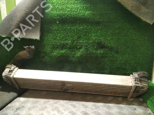 Used Intercooler MERCEDES-BENZ A-CLASS (W169) A 180 CDI (169.007, 169.307) (109 hp) 29077020