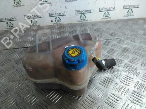 Ekpansionstank FIAT GRANDE PUNTO (199_) 1.3 D Multijet (75 hp) 4528521