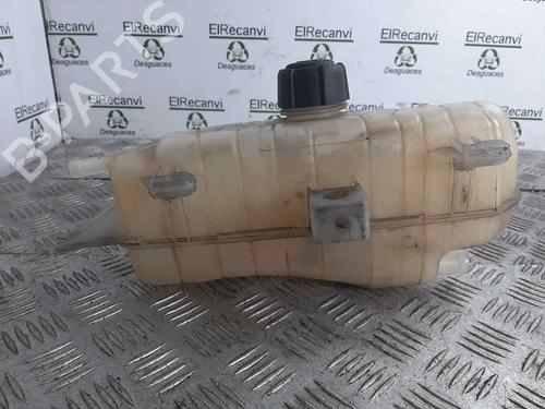 Used Expansion tank RENAULT CLIO III (BR0/1, CR0/1) [2005-2014]  8883574