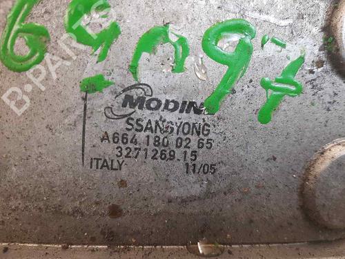 Oil radiator SSANGYONG KYRON | BP17653586M33