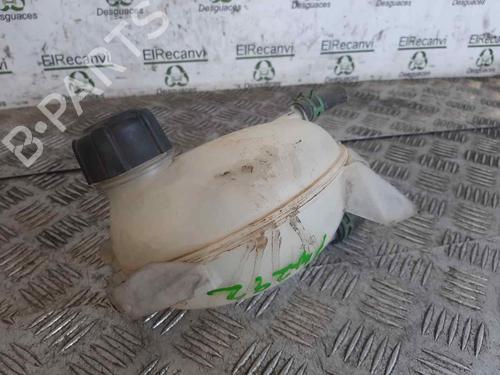 Used Expansion tank DACIA DOKKER MPV (KE_) [2012-2021]  18320667
