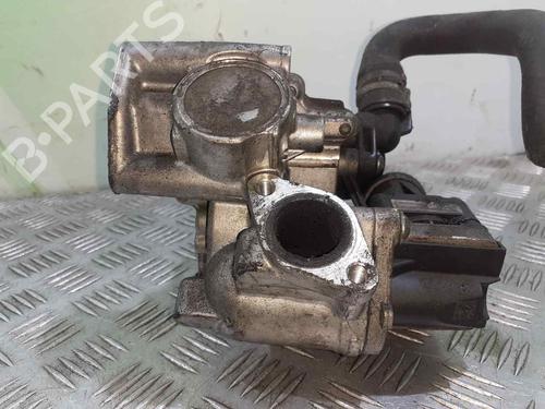 Egr FIAT DOBLO Cargo (263_) 1.3 D Multijet | BP9203047M69