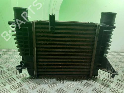 Intercooler RENAULT CLIO III (BR0/1, CR0/1) 1.5 dCi (BR17, CR17) (86 hp) 7042191